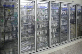 Hospital Hematology Laboratory Blood Refrigerator And Sampling Refrigerator Temperature And Humidity Monitoring Solutions - Humpback Whale